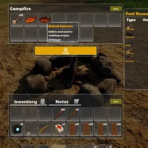 Dig Island - Campfire