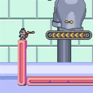 Dimensional Animals - Raccoon