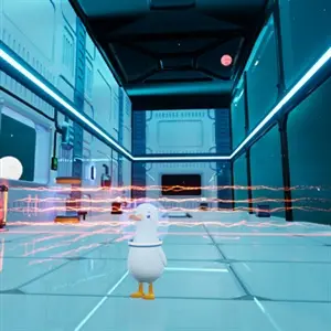 Dodo Duckie - Laser Grids