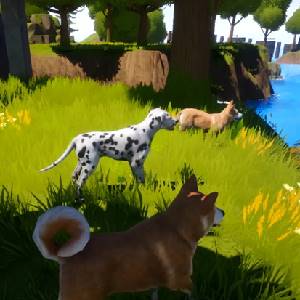 Dogs Club - Dalmatian, Akita, and Corgi