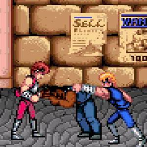 Double Dragon Trilogy Brawl