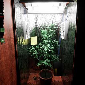 Drug Dealer Simulator - Weed