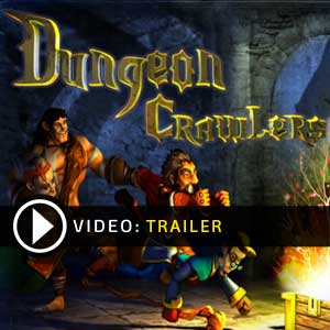 Buy Dungeon Crawlers HD CD Key Compare Prices