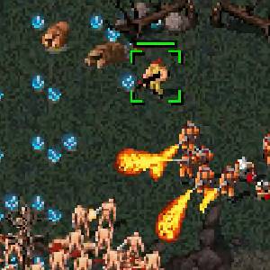 Dying Breed - Hordes