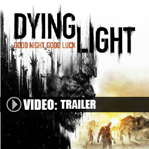 dying light activation key