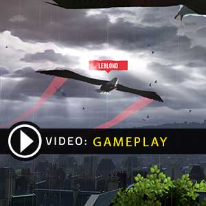Eagle Flight Gameplay Video