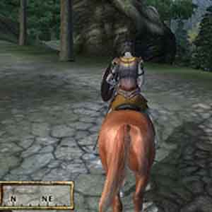 Elder Scrolls 4 Oblivion Battlefield