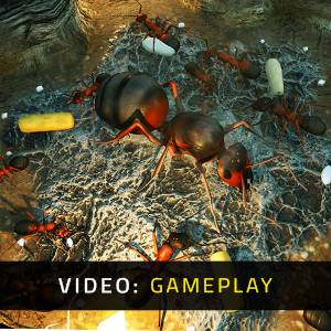 Empires of the Undergrowth Gameplay Video