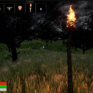 Endure or Perish - Torch