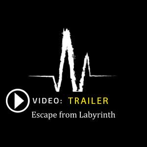 Buy Escape from Labyrinth CD Key Compare Prices