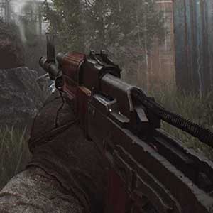 Escape from Tarkov Weapon