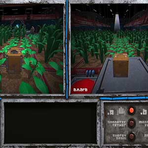 control of two walker robots