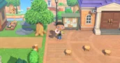 Animal Crossing Patch 3.0.3 Fixes Catalog UI and Anniversary Item Access