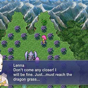 reach the dragon grass