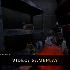 FLAW - Gameplay