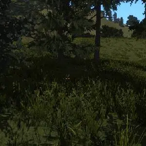 Fleeting Ages - Greenery