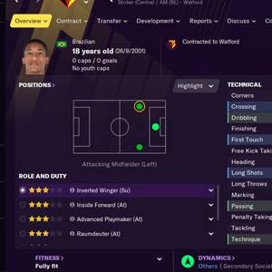 Football Manager 2021 In-game Editor Overview