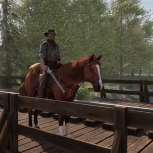 Frontier Legends - Riding