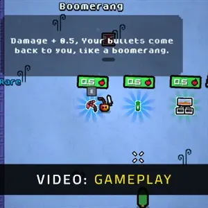 Fruity Rogue - Gameplay Video
