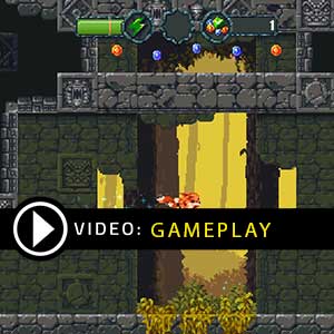 Furwind Xbox One Gameplay Video