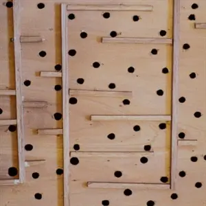 Game With Balls - Handcrafted