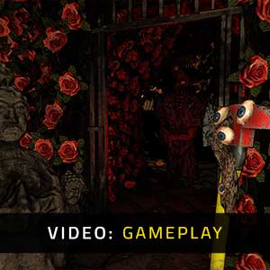 Golden Light of Rose - Video Gameplay