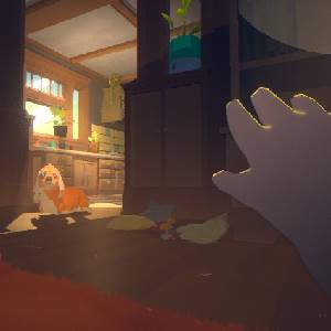 Goodnight Universe - Dog