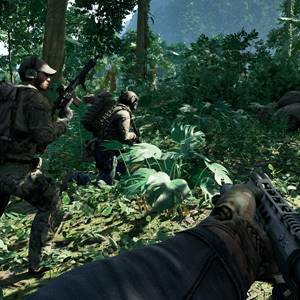 Gray Zone Warfare - Forest