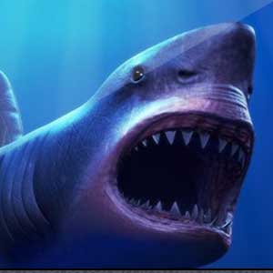 GTA Online Megalodon Shark Cash Card 8 million GTA dollars