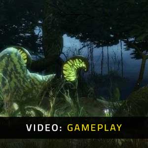Guild Wars 2 - Gameplay