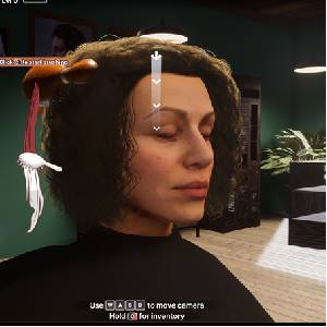Hairdresser Simulator Brushing Hair