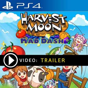 Harvest Moon Mad Dash PS4 Prices Digital or Box Edition