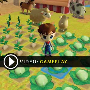 Harvest Moon The Lost Valley Nintendo 3DS Gameplay Video