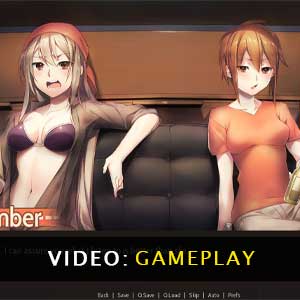Highway Blossoms Gameplay Video
