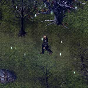 Commander jerus going home