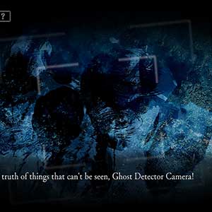 Howling Village Echoes Ghost Detector Camera