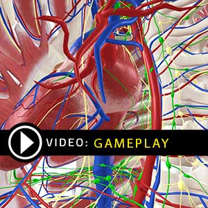 Human Anatomy VR Gameplay Video