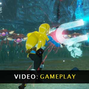 Hyrule Warriors Age of Calamity Video Gameplay
