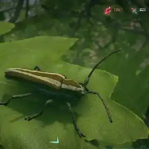 Insect Worlds - Saperda Candida