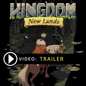 Buy Kingdom New Lands CD Key Compare Prices