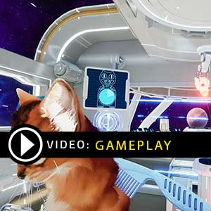 Kitten'd Gameplay Video