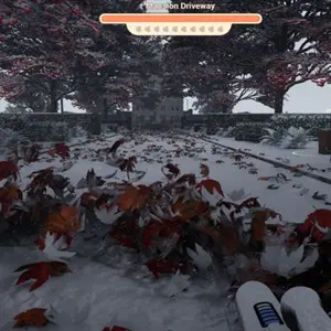 Leaf Blower Co - Mansion Driveway