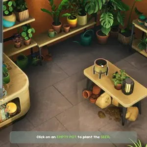 Leafy Corner - Plants