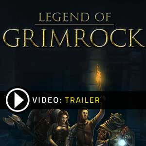 80% Legend of Grimrock on