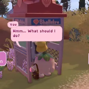 Letters To Arralla - Shellstra booth