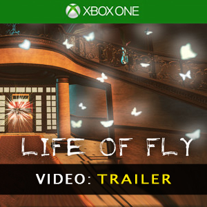 Life of Fly Trailer Video