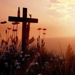 Lifeless Stillwater Bay