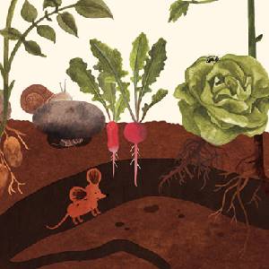 Little Mouse's Encyclopedia - Underground