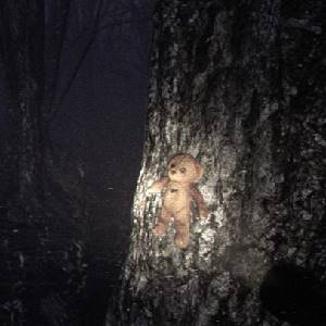 Locked Up - Teddy Bear