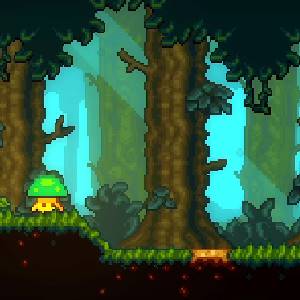 Lone Fungus 2 - Forest
